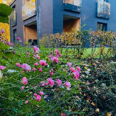 Apartament Magia Puszczy Z Widokiem Na Puszcze Bialowieska Hajnówka Buitenkant foto